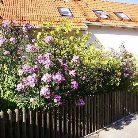 Wiflinger Graben Einfamilienhaus Villa Wörth Exterior foto