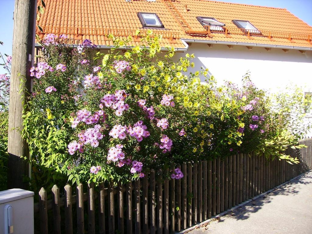 Wiflinger Graben Einfamilienhaus Villa Wörth Exterior foto