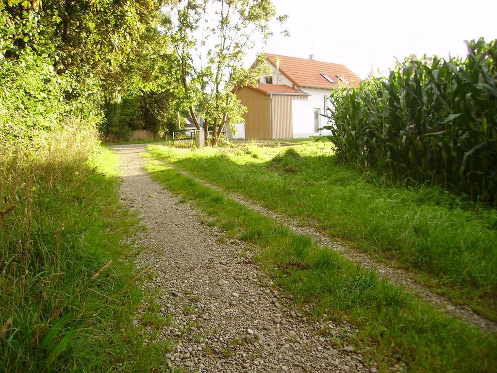 Wiflinger Graben Einfamilienhaus Villa Wörth Exterior foto